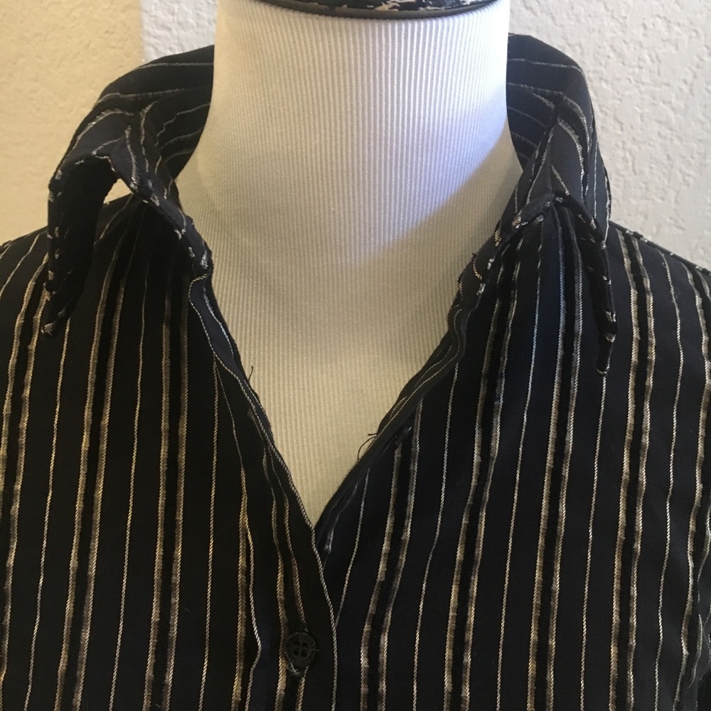 Zara Basic Metallic Striped Button-Down Blouse Si… - image 6